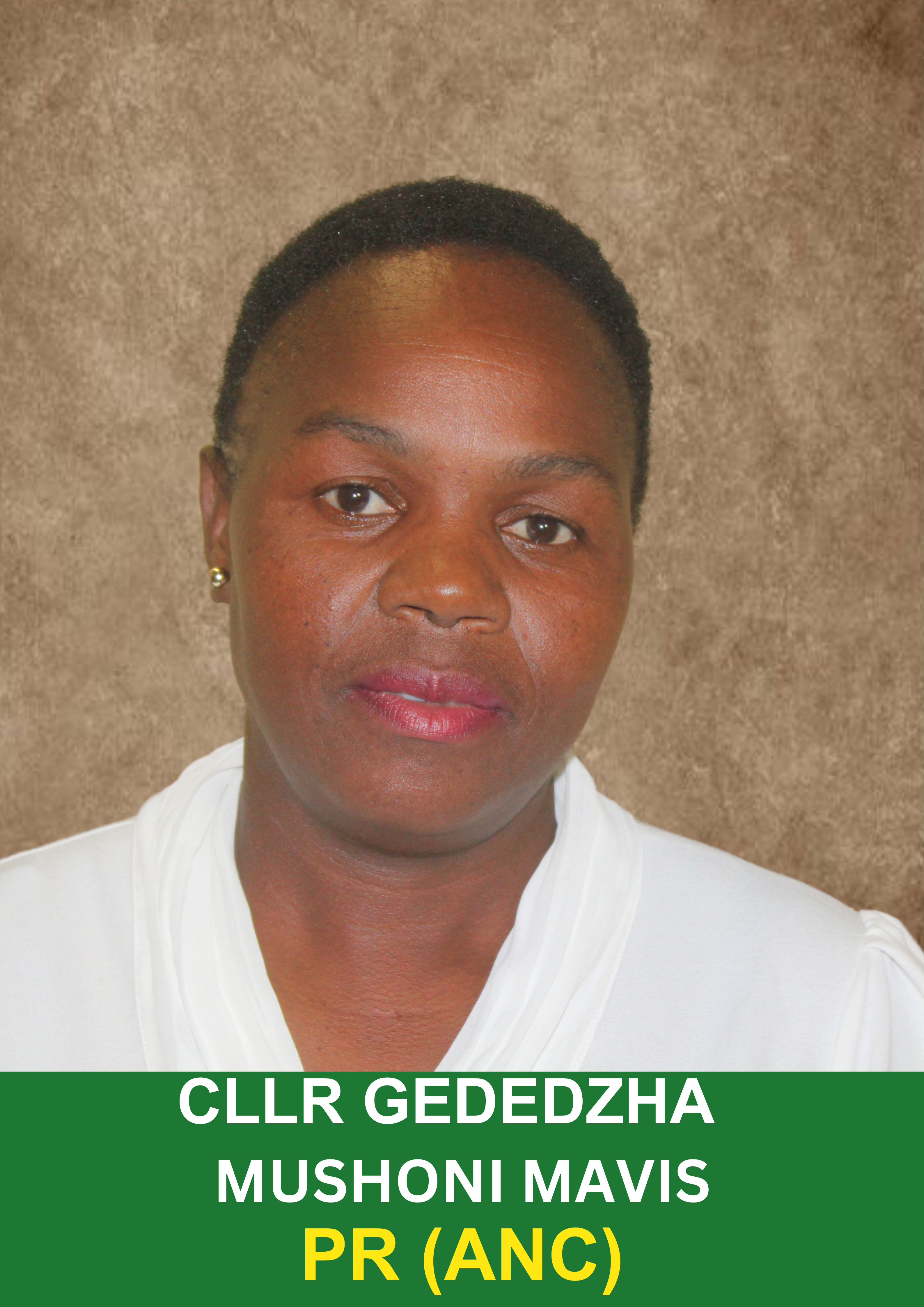 Team Member 2